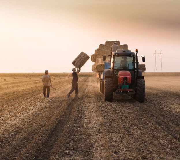 Tractor in Field
